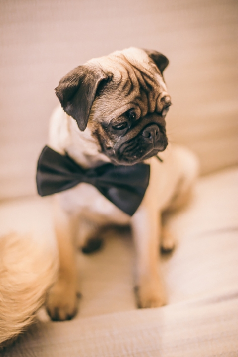 fotos boda en masia can ametller