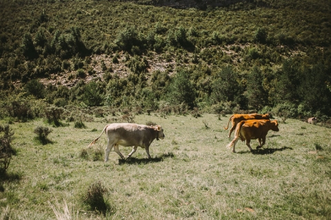 fotos preboda en sierra de guara huesca