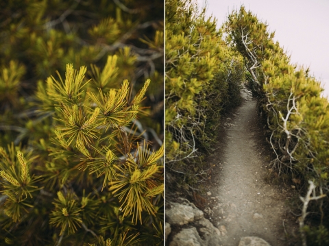 preboda en tamarit tarragona
