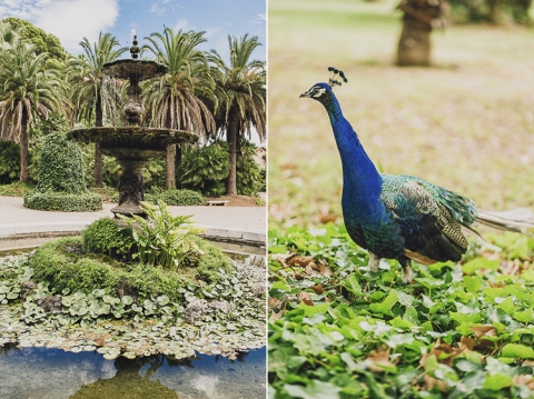 fotos preboda en parc sama en cambrils