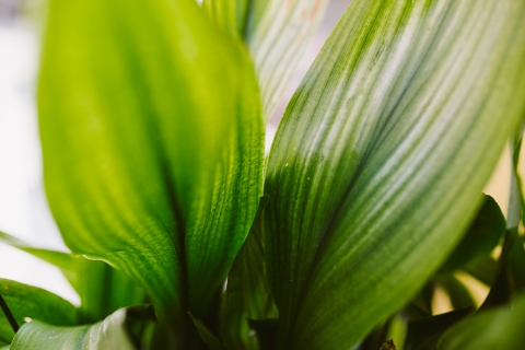 fotos boda en masia vilanoveta barcelona