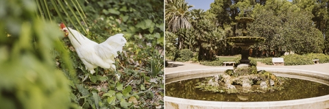 fotos de boda en parc sama