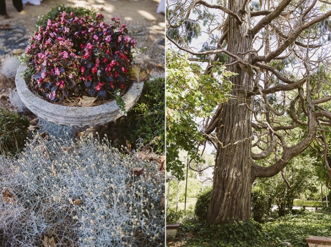 fotos de boda en termes de montbrio