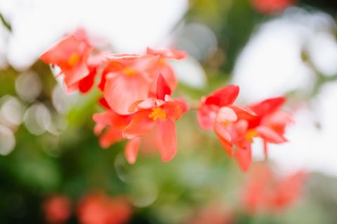 jose luis santos fotografo de bodas en la boella