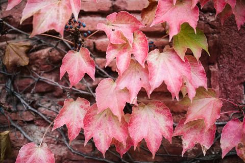 jose luis santos fotografo de bodas en la boella